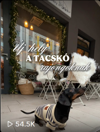 Takács Éva portfolio